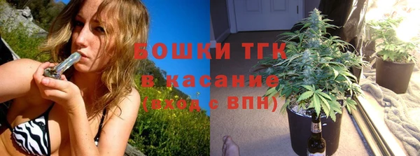 ГАЛЛЮЦИНОГЕННЫЕ ГРИБЫ Аркадак