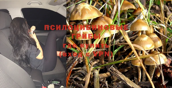 прущая мука Армянск