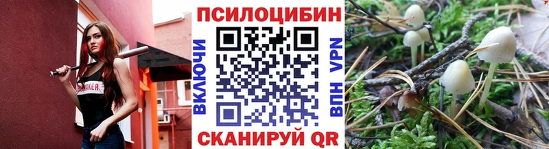 Галлюциногенные грибы ЛСД  Николаевск-на-Амуре 